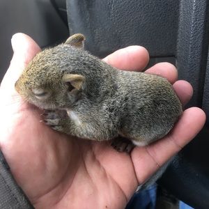 Meet your Posher, Kyle